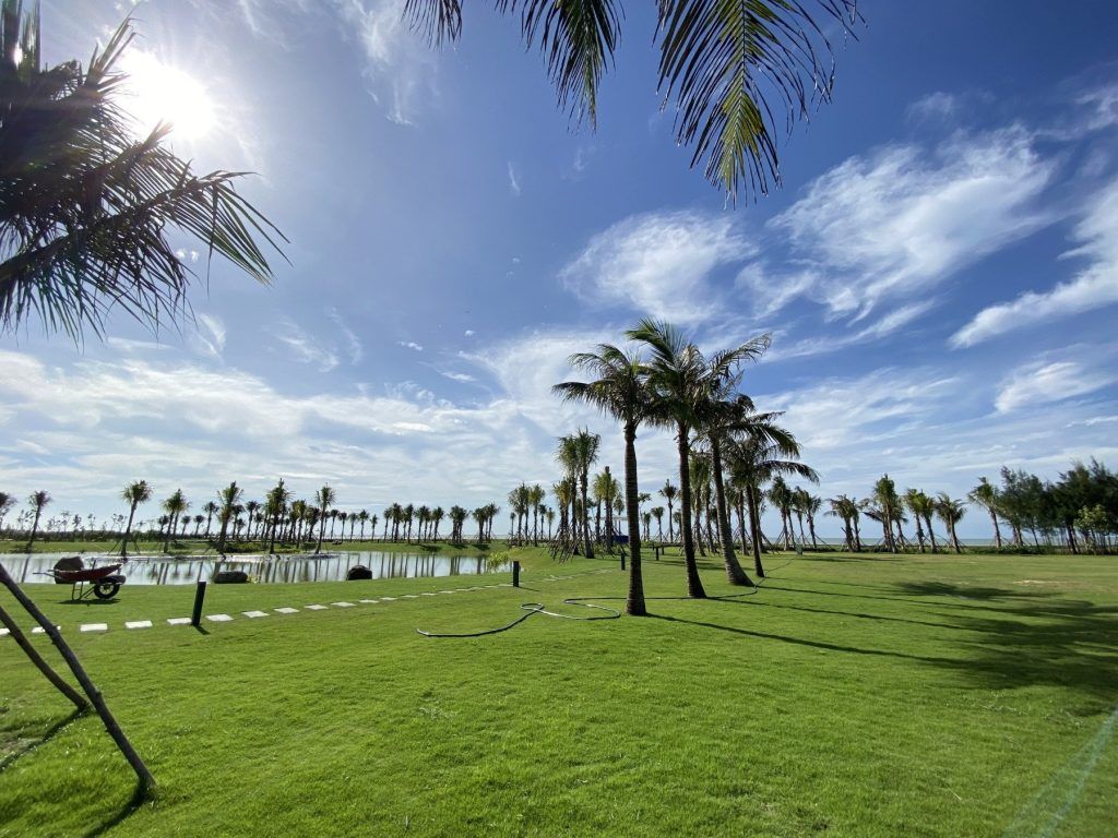 Khu vực nhà mẫu được phủ cỏ xanh thuộc Venezia Beach